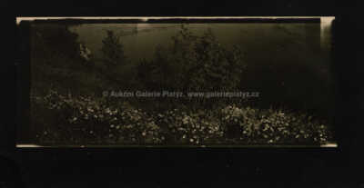  / Peklo (z cyklu Poznámky) / Josef Sudek