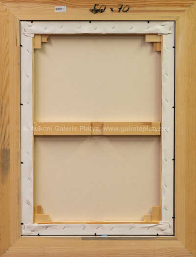  / Tváře / František Ringo Čech