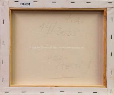  / Dívka a nekonečno / Jiří Anderle