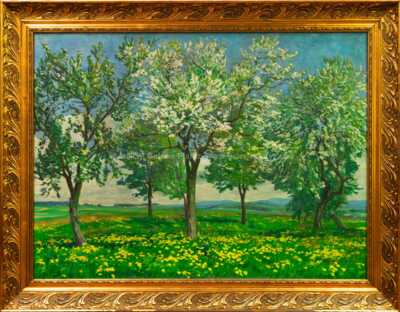 Antonín Hudeček - Jaro