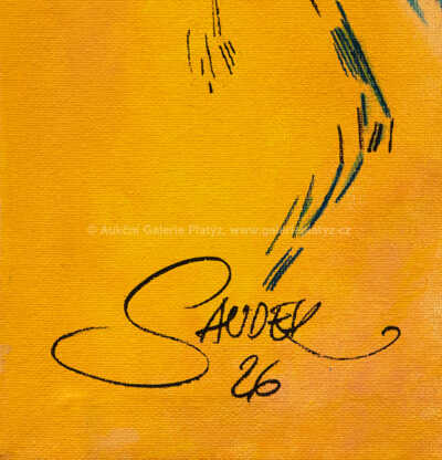  / Marborka / Patrik Saudek