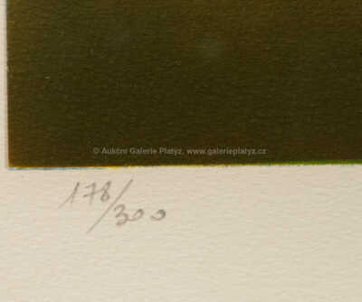  / Atavistické ruiny po dešti / Salvador Dalí