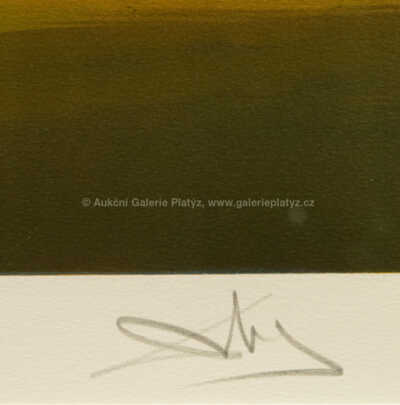  / Atavistické ruiny po dešti / Salvador Dalí