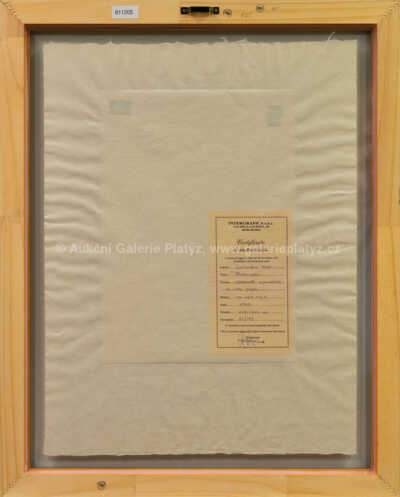  / Metamorfóza / Salvador Dalí