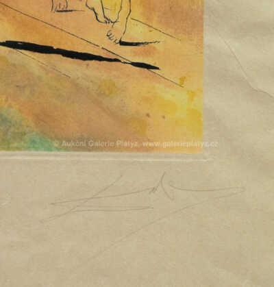  / Metamorfóza / Salvador Dalí