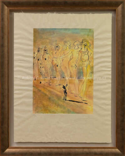 Salvador Dalí - Metamorfóza