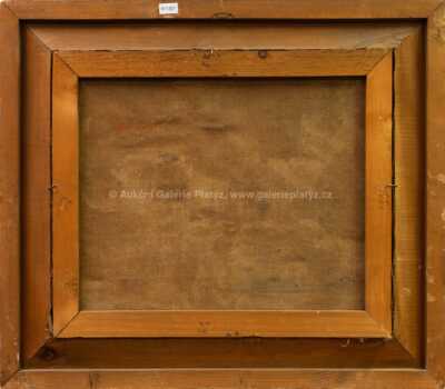  / Pradleny / F. Saul