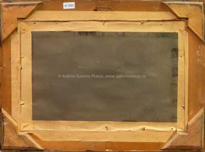  / Tání ve vsi / Karel Jan Sigmund