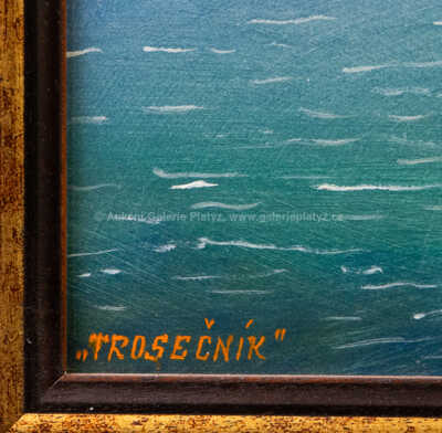  / Trosečník / Pavel Pardy