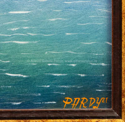  / Trosečník / Pavel Pardy