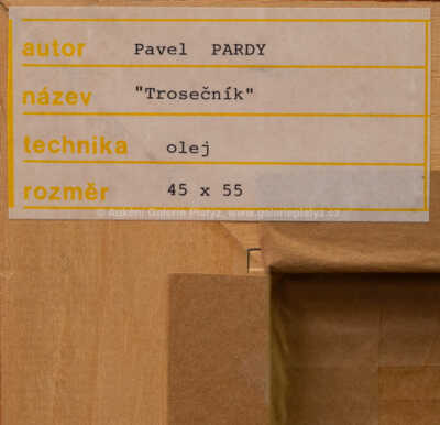  / Trosečník / Pavel Pardy