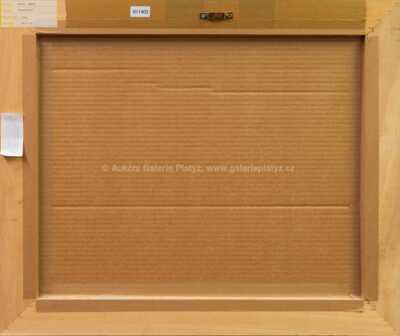  / Trosečník / Pavel Pardy