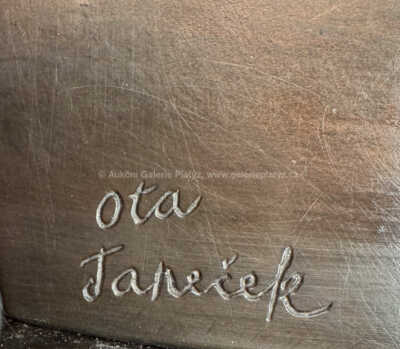  / Tvar / Ota Janeček