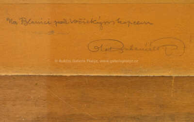  / Na Blanici pod Božickým kopcem / Ota Bubeníček