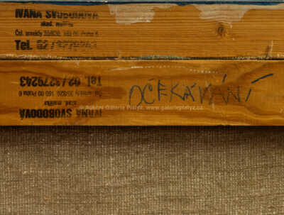  / Očekávání / Ivana Svobodová