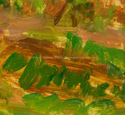  / Rozkvetlá krajina / František Škrabánek