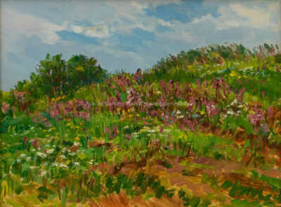  / Rozkvetlá krajina / František Škrabánek