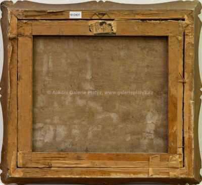  / Na poli / Vincze Bánsági