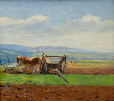  / Na poli / Vincze Bánsági