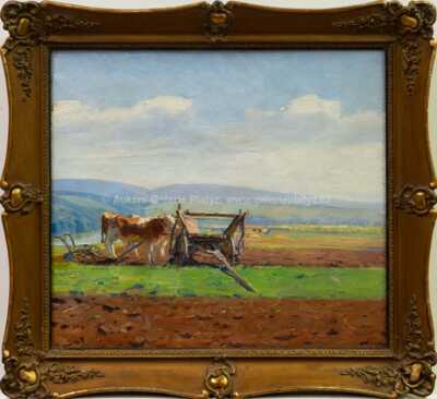 Vincze Bánsági - Na poli