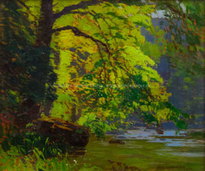  / Na břehu / Roman Havelka