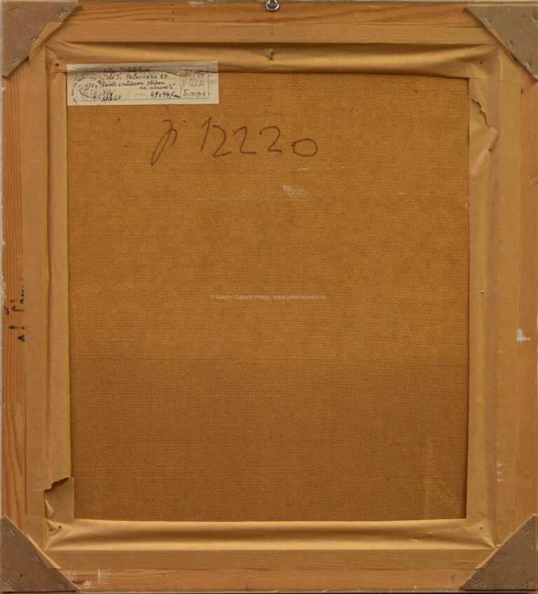  / Děvče s růžovou stuhou ve vlasech / Míla Doleželová