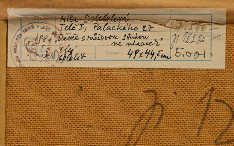  / Děvče s růžovou stuhou ve vlasech / Míla Doleželová