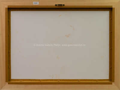  / Marie č. 1 / Jan Saudek