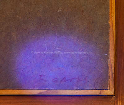  / Organický růst / František Gross