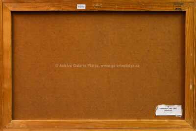  / Organický růst / František Gross