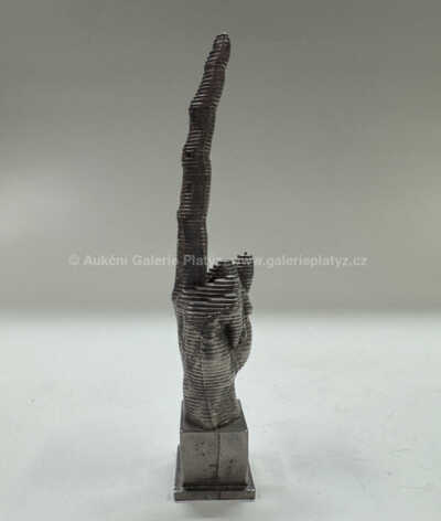  / FUCK (fakáč) / David Černý