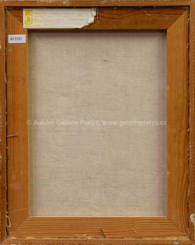  / Dívka / Vladimír Komárek