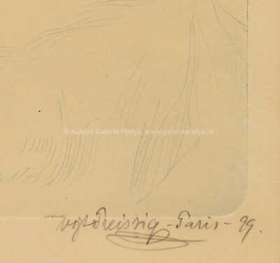  / Dívka s holubicí / Vojtěch Preissig