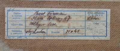  / Mlhy v lese / Pavel Forman