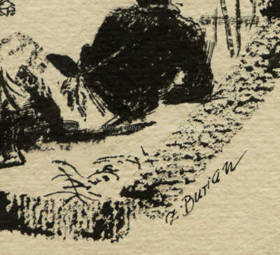  / Kokorí / Zdeněk Burian