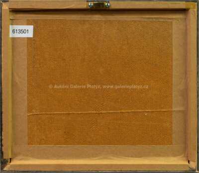  / Kokorí / Zdeněk Burian