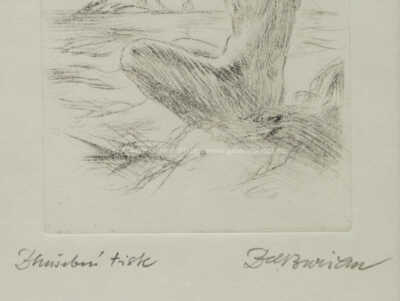  / Píseň slunci (raritní grafická práce) / Zdeněk Burian