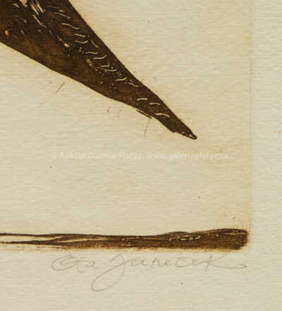  / Pták / Ota Janeček