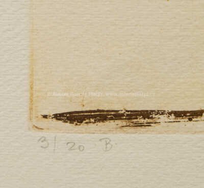  / Pták / Ota Janeček