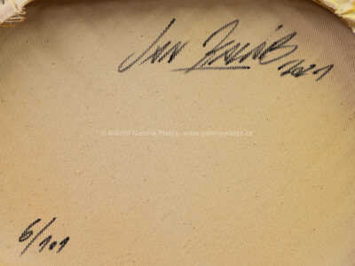  / Mini Yellow Ameba / Jan Kaláb