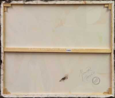  / Pět koček / Robert Jiran