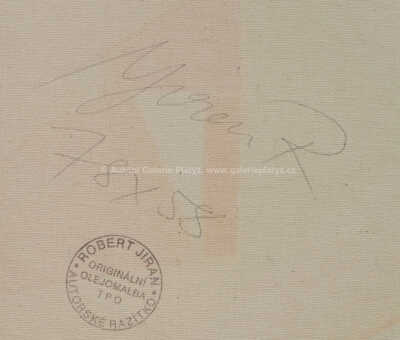  / Ve vaně / Robert Jiran