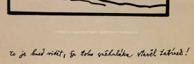  / Sněhulák / Jiří Winter Neprakta