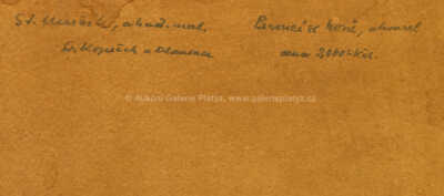  / Pasoucí se koně / Stanislav Menšík