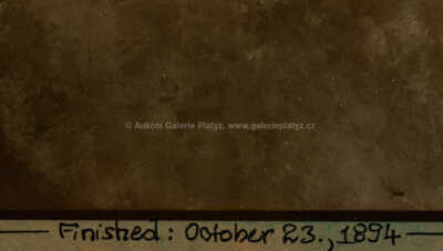  / Private Dancer / Jan Saudek