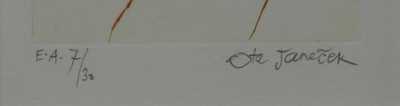  / Akt / Ota Janeček