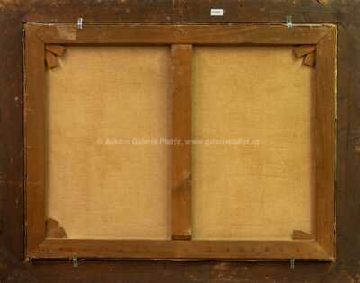  / Jiráskův most / Jaroslav Malinský