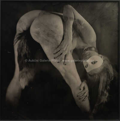 Petr Jedinák - Karneval neřesti