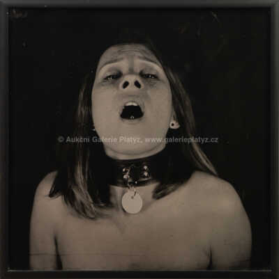 Petr Jedinák - Orgasmický portrét