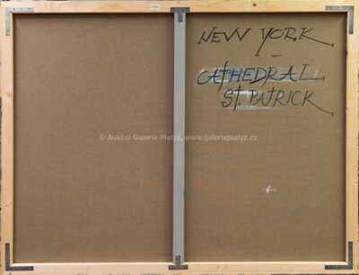  / New York, Cathedral St. Patrick / Radek Baláž